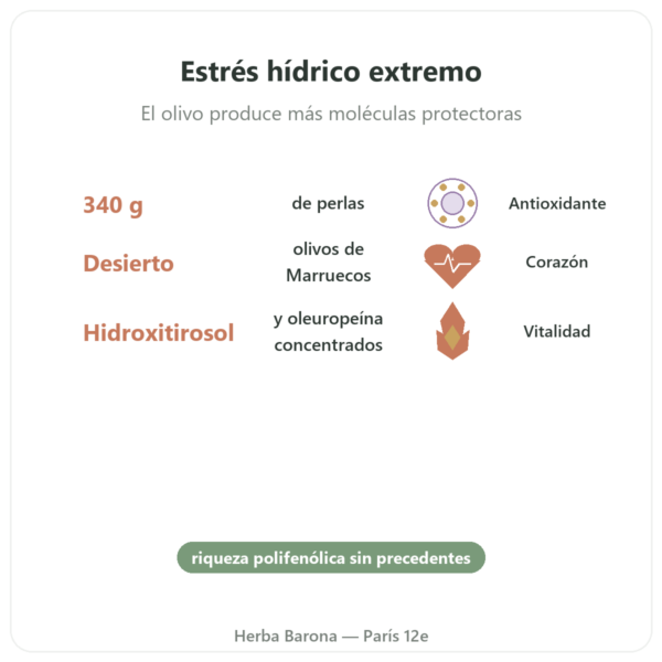 Perlas de Olivos del Desierto NaturaMedicatrix – 340 g beneficios y datos clave Paris Herba Barona