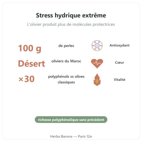 Perles d'Oliviers du Désert NaturaMedicatrix 100g bienfaits et chiffres Paris Herba Barona