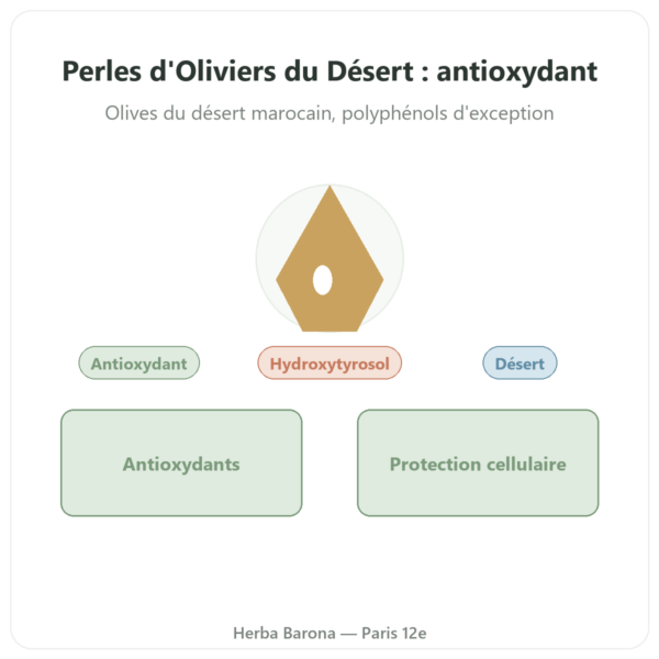 Perles d'Oliviers du Désert NaturaMedicatrix 100g presentation antioxydant Paris Herba Barona