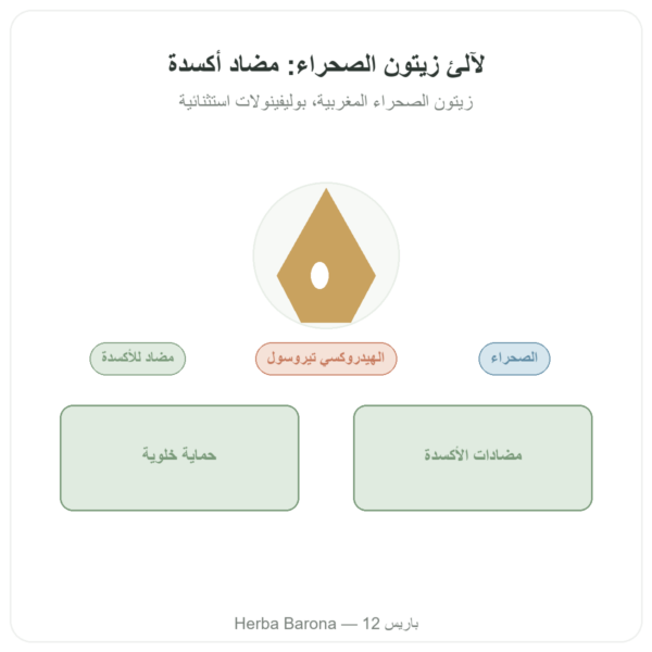 لآلئ زيتون الصحراء – NaturaMedicatrix – 340 غ عرض المنتج Paris Herba Barona