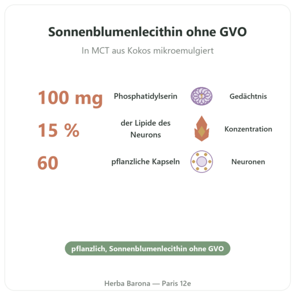 Pflanzliches Phosphatidylserin – Dynveo – 100 mg – 60 Kapseln Vorteile und Fakten Paris Herba Barona