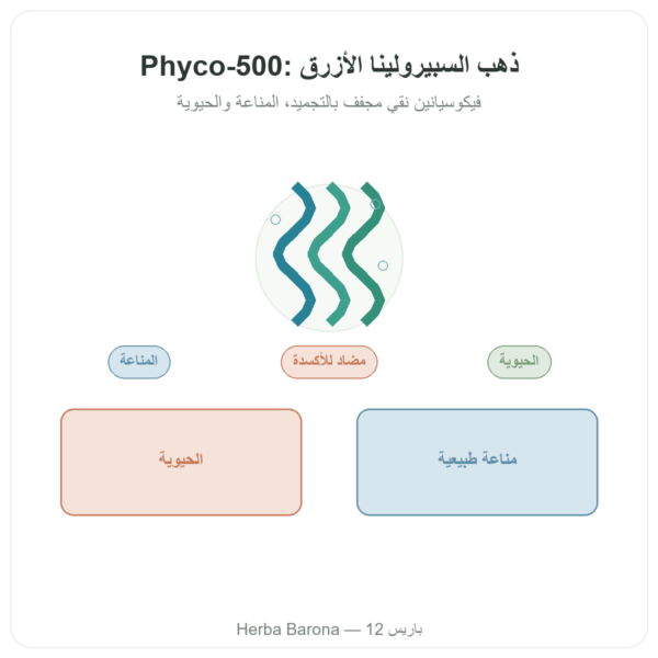 Phyco-500 – 30 كبسولة – فيكوسيانين مجفف بالتجميد للمناعة عرض المنتج Paris Herba Barona