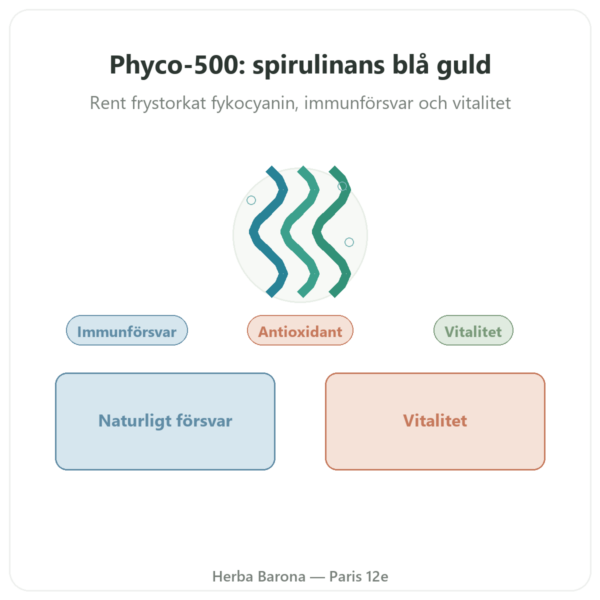 Phyco-500 30 kapslar - frystorkat fykocyanin immunförsvar presentation Paris Herba Barona