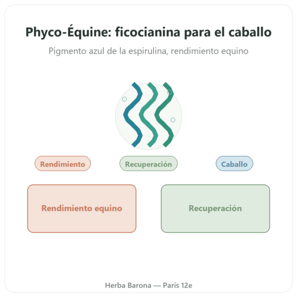Phyco-Équine 21 Cápsulas – Ficocianina para Caballos de Deporte presentación Paris Herba Barona
