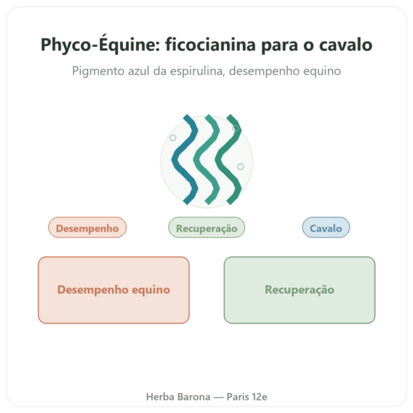 Phyco-Équine 21 cápsulas – ficocianina performance cavalo apresentação Paris Herba Barona