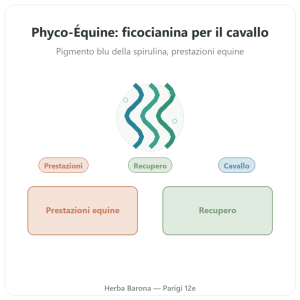 Phyco-Équine 21 Capsule – Ficocianina Performance Cavallo presentazione Paris Herba Barona