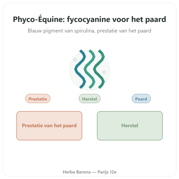 Phyco-Équine 21 capsules – fycocyanine paardenprestatie presentatie Paris Herba Barona