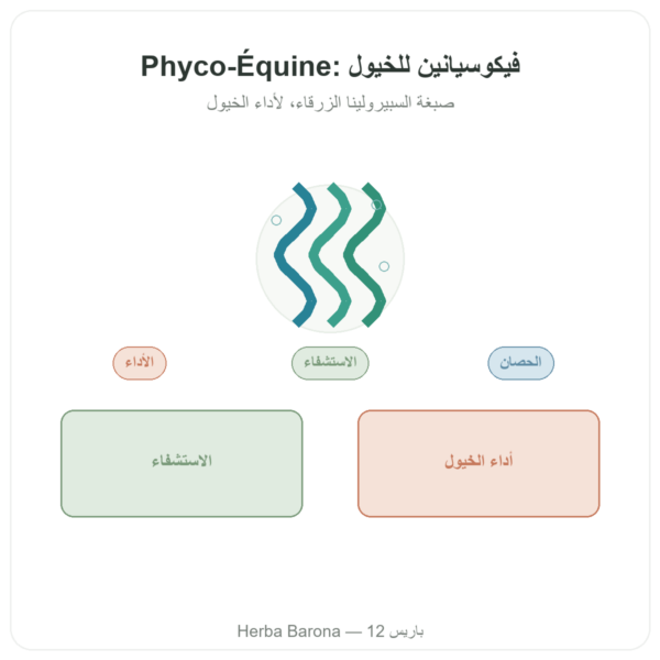 Phyco-Équine 21 كبسولة - فيكوسيانين لأداء الخيول عرض المنتج Paris Herba Barona