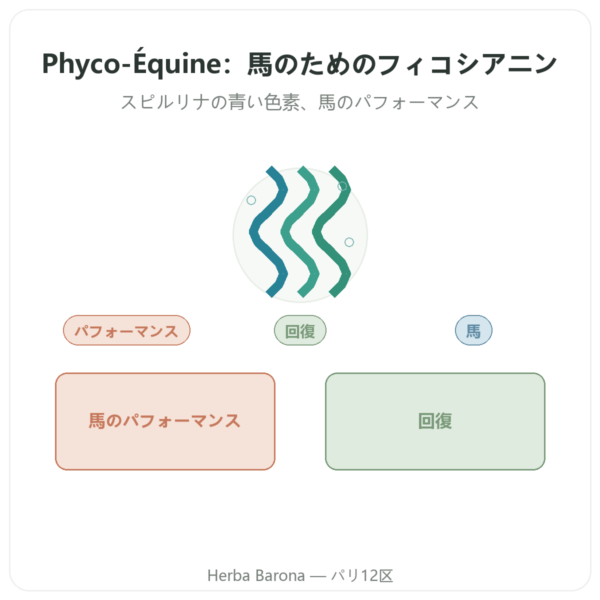 Phyco-Équine 21カプセル – 馬用フィコシアニン パフォーマンスサポート presentation Paris Herba Barona