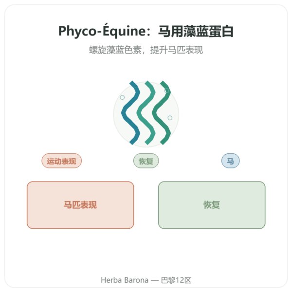 Phyco-Équine 21粒装 – 藻蓝蛋白 马匹运动表现 产品展示 Paris Herba Barona