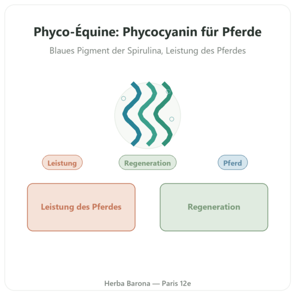 Phyco-Équine 21 Kapseln – Phycocyanin für Pferde Vorstellung Paris Herba Barona