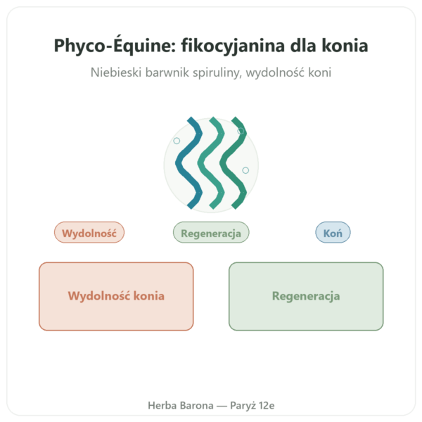 Phyco-Équine 21 kapsułek - fikocyjanina wydajność koń prezentacja Paris Herba Barona