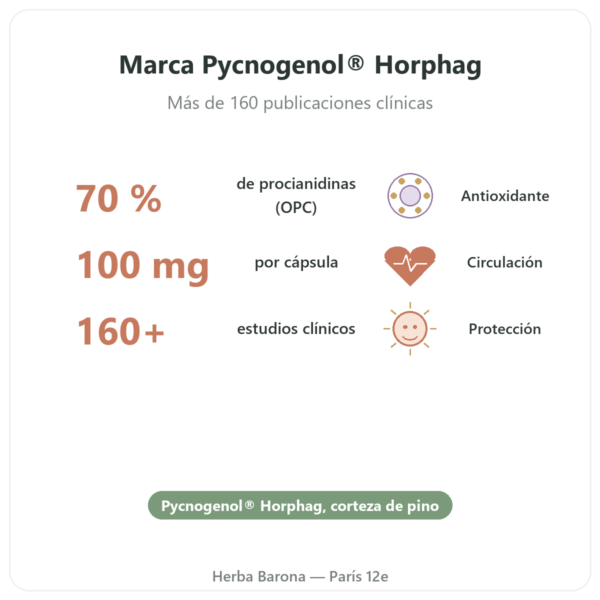 Picnogenol Dynveo – 100 mg – 70% procianidinas (OPC) – 60 cápsulas beneficios y datos clave Paris Herba Barona