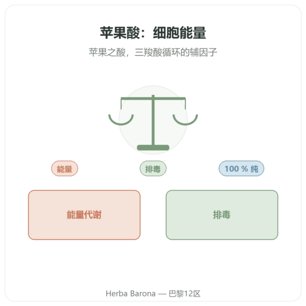 苹果酸粉末 500 g Nature et Partage 产品展示 Paris Herba Barona