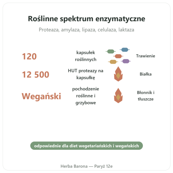 Plant Enzymes 120 Caps Now Foods – enzymy trawienne korzyści i najważniejsze fakty Paris Herba Barona