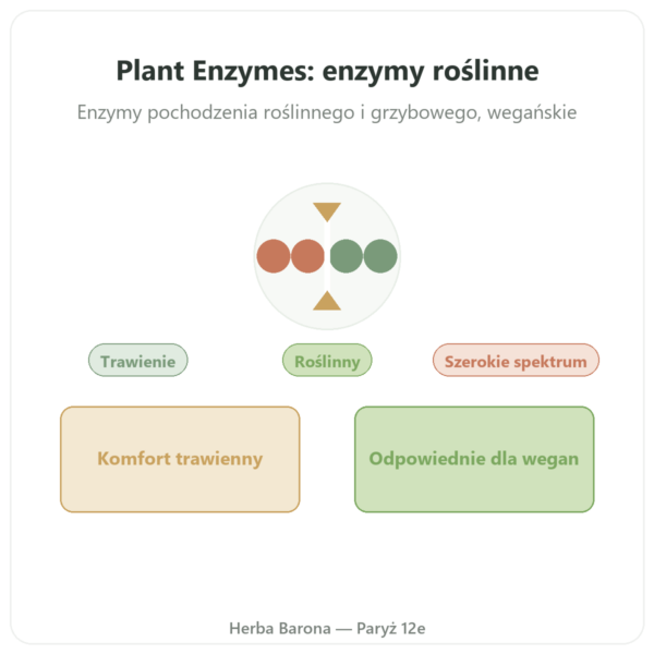 Plant Enzymes 120 Caps Now Foods – enzymy trawienne prezentacja Paris Herba Barona