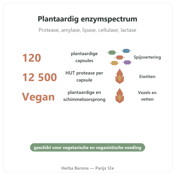 Plant Enzymes 120 Caps Now Foods – Plantaardige Spijsverteringsenzymen voordelen en kerngegevens Paris Herba Barona