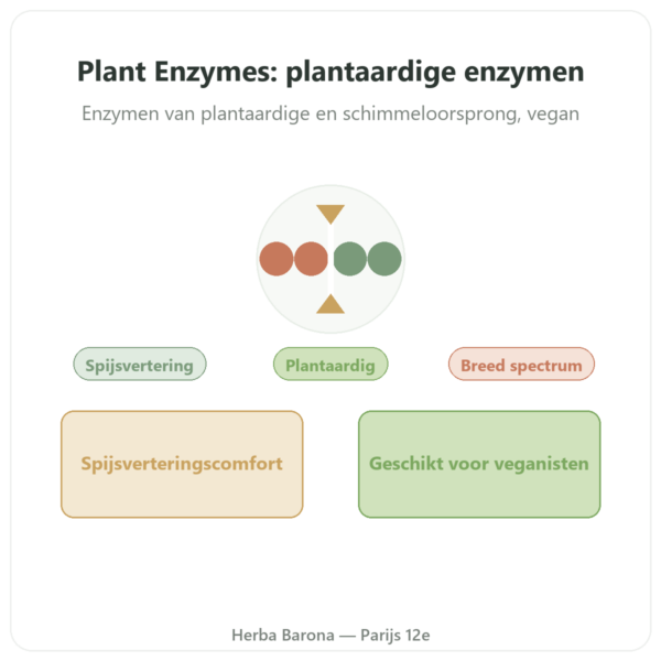 Plant Enzymes 120 Caps Now Foods – Plantaardige Spijsverteringsenzymen presentatie Paris Herba Barona