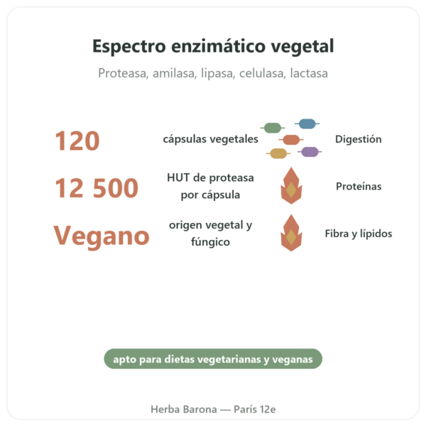 Plant Enzymes – 120 Cápsulas – Now Foods – Enzimas Digestivas Vegetales beneficios y datos clave Paris Herba Barona
