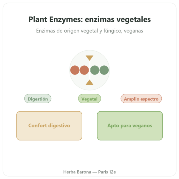 Plant Enzymes – 120 Cápsulas – Now Foods – Enzimas Digestivas Vegetales presentación Paris Herba Barona