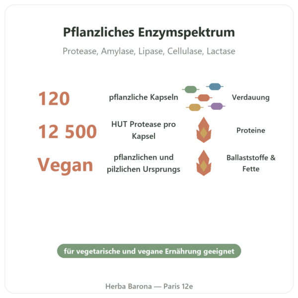 Plant Enzymes – 120 Kapseln – Now Foods – Pflanzliche Verdauungsenzyme Vorteile und Fakten Paris Herba Barona