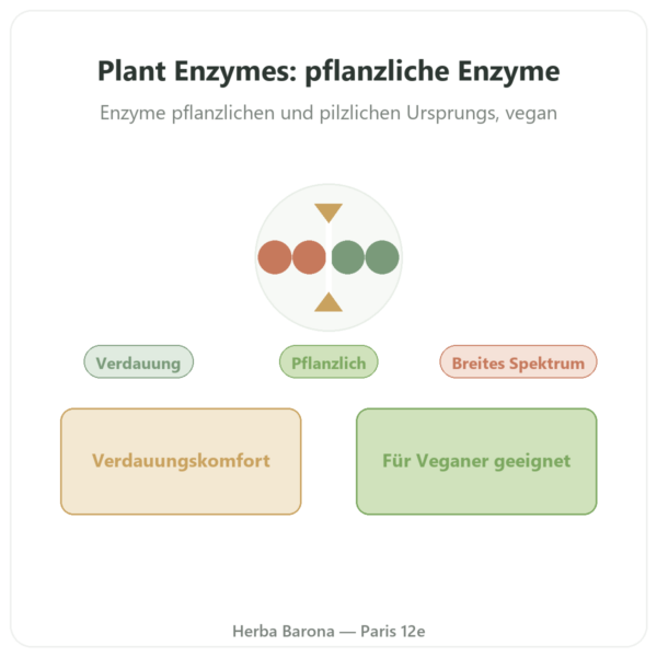Plant Enzymes – 120 Kapseln – Now Foods – Pflanzliche Verdauungsenzyme Vorstellung Paris Herba Barona