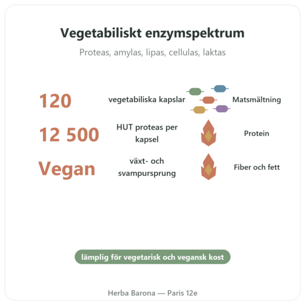 Plant Enzymes 120 Kapslar Now Foods – Vegetabiliska matsmältningsenzymer fördelar och nyckelfakta Paris Herba Barona
