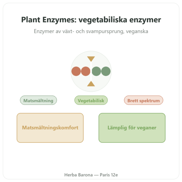 Plant Enzymes 120 Kapslar Now Foods – Vegetabiliska matsmältningsenzymer presentation Paris Herba Barona