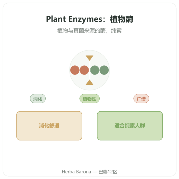 Plant Enzymes 植物消化酶 120 粒 Now Foods 产品展示 Paris Herba Barona