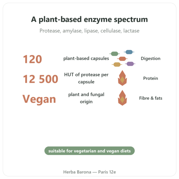 Plant Enzymes - 120 Capsules - Now Foods benefits and key facts Paris Herba Barona