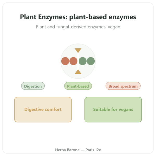 Plant Enzymes - 120 Capsules - Now Foods presentation Paris Herba Barona