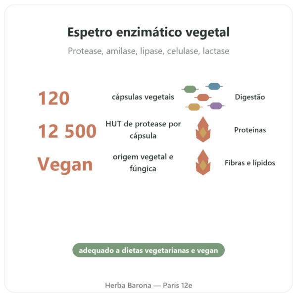Plant Enzymes – 120 Cápsulas – Now Foods – Enzimas Digestivas Vegetais – Comprar benefícios e dados principais Paris Herba Barona
