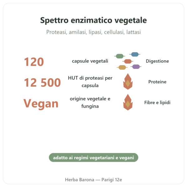 Plant Enzymes 120 Capsule Now Foods – Enzimi Digestivi Vegetali benefici e dati chiave Paris Herba Barona