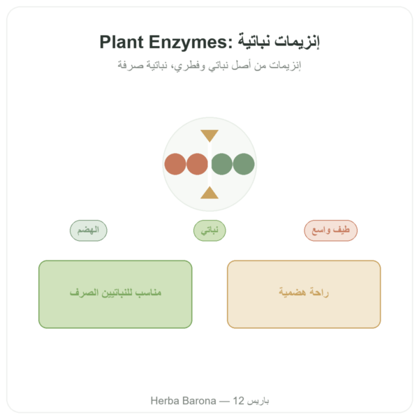 إنزيمات هضمية نباتية – Plant Enzymes – Now Foods – 120 كبسولة عرض المنتج Paris Herba Barona