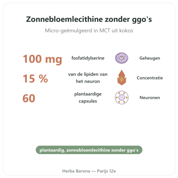 Plantaardig Fosfatidylserine – Dynveo – 100 mg – 60 capsules voordelen en kerngegevens Paris Herba Barona