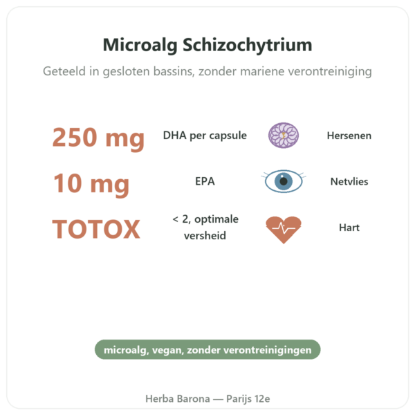 Plantaardige DHA Dynveo 250 mg voordelen en kerngegevens Paris Herba Barona