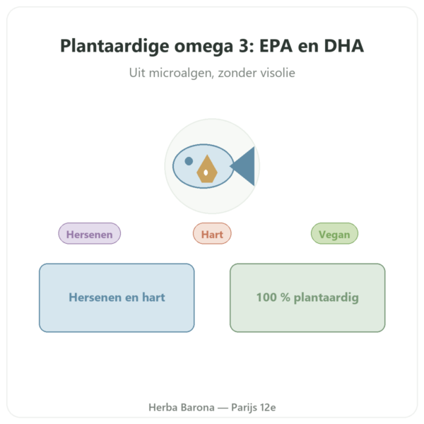 Plantaardige Omega 3 Microalg Dynveo 60 Capsules 500 mg presentatie Paris Herba Barona