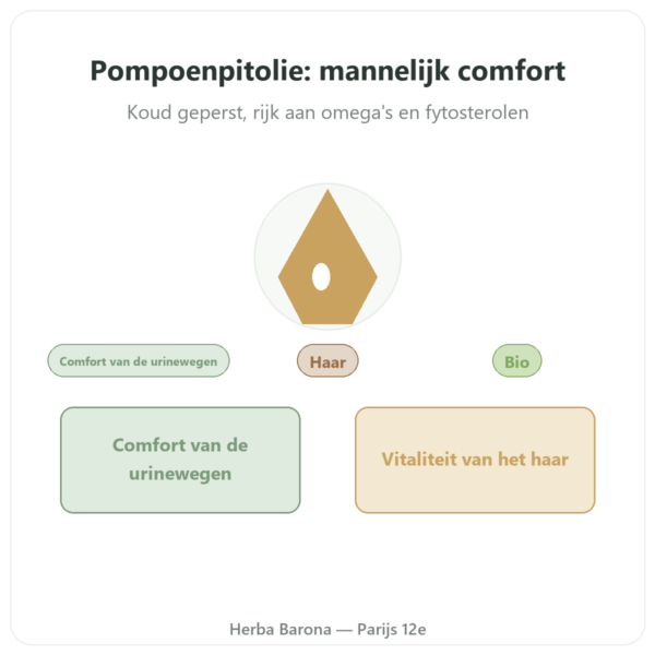 Pompoenpitolie Dynveo 60 Capsules presentatie Paris Herba Barona