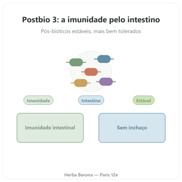 Postbio 3 Dynveo 60 cápsulas apresentação Paris Herba Barona