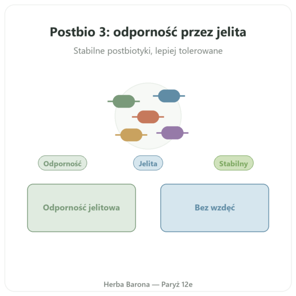 Postbio 3 Dynveo 60 kapsułek prezentacja Paris Herba Barona