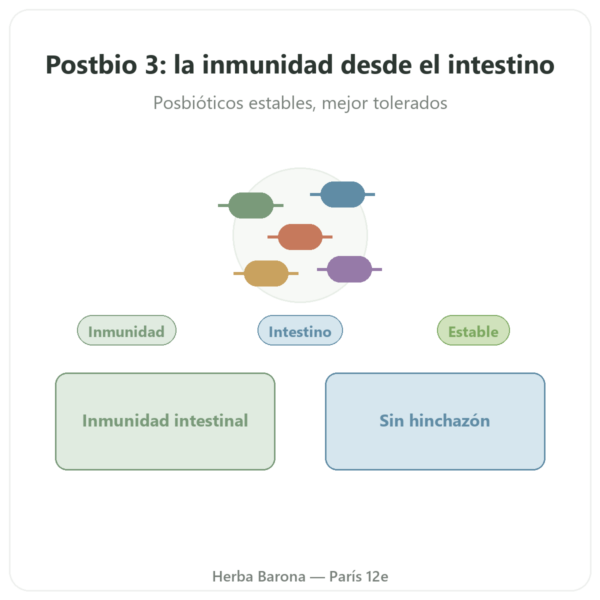 Postbio 3 – Dynveo – 60 cápsulas presentación Paris Herba Barona