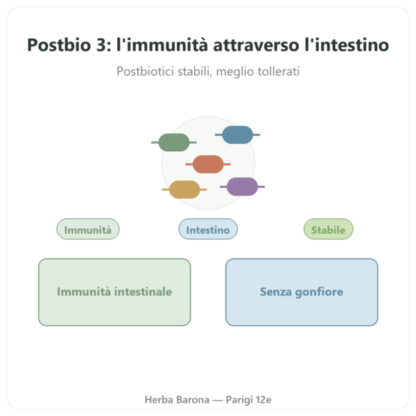 Postbio 3 – Dynveo – 60 capsule presentazione Paris Herba Barona