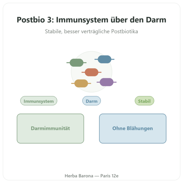 Postbio 3 – Dynveo – 60 Kapseln Vorstellung Paris Herba Barona
