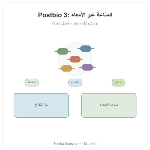 Postbio 3 – Dynveo – 60 قرص عرض المنتج Paris Herba Barona