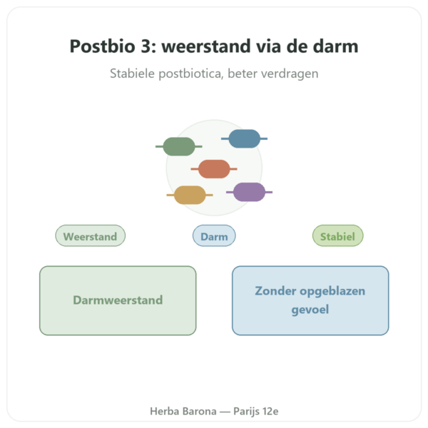 Postbio 3 – Dynveo – 60 capsules presentatie Paris Herba Barona