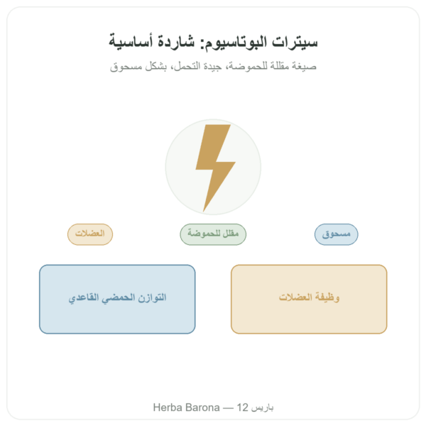 بوتاسيوم سيترات مسحوق – Now Foods – 340 غ عرض المنتج Paris Herba Barona