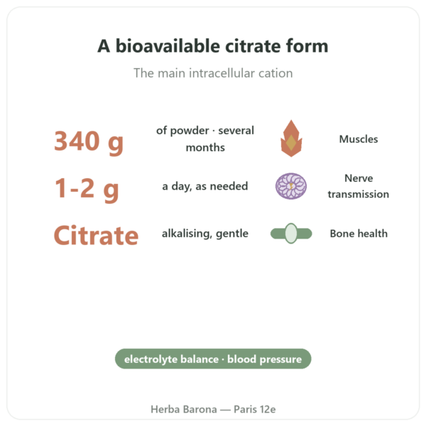 Potassium Citrate Powder – Now Foods – 340 g benefits and key facts Paris Herba Barona