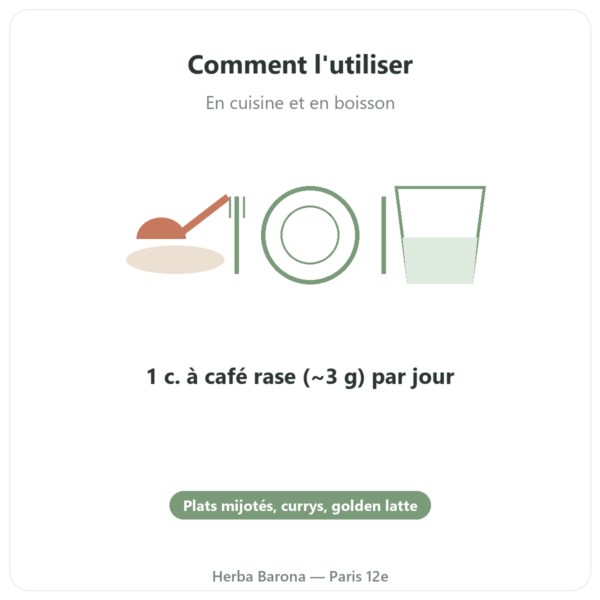 Poudre de curcuma bio 150 g Ayur-vana mode emploi conseil de prise Paris Herba Barona