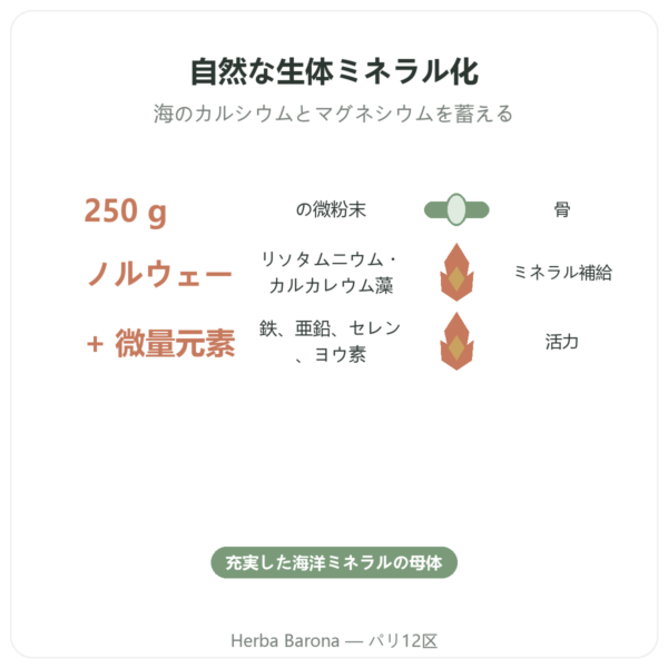 リトタムニウム(海藻カルシウム)パウダー 250 g – Vecteur Santé benefits and key facts Paris Herba Barona