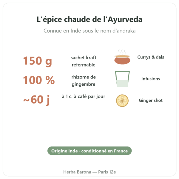 Poudre de gingembre indien bio 150 g Ayur-vana bienfaits et chiffres cles Paris Herba Barona